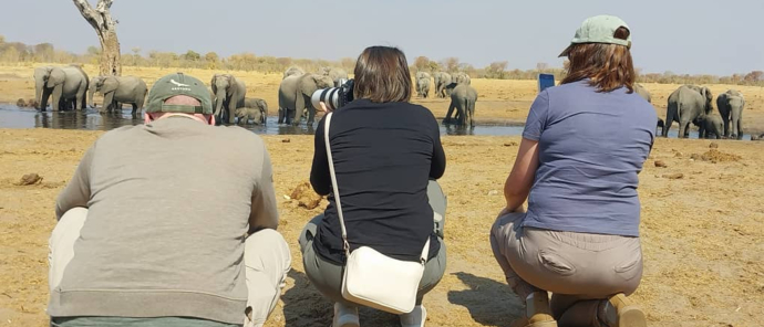 Walking Safari.jpg Walking Safari.jpg