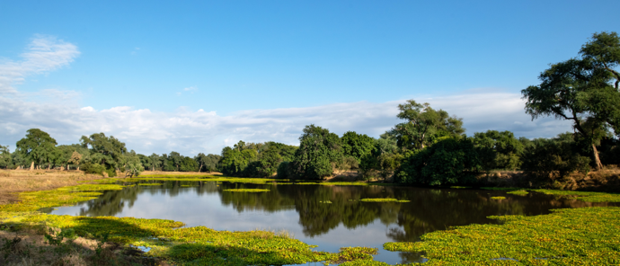 Zimbabwe Mana Pools Ingwe Pan Pool Zimbabwe Mana Pools Ingwe Pan Pool
