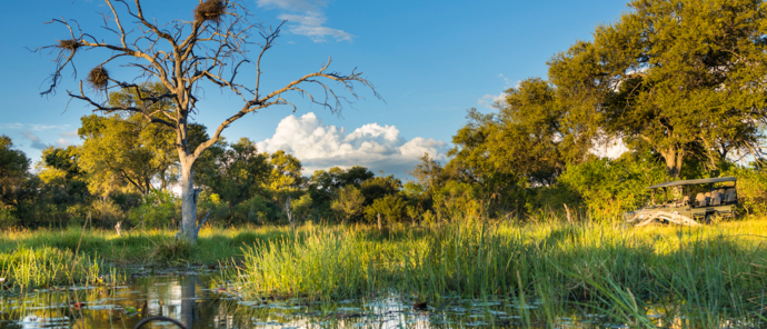 Machaba Safaris Okavango Delta Mokoro On River Safari