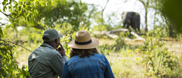 Machaba Safaris Okavango Delta Fly In Walking Safari