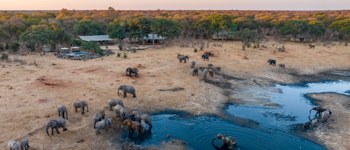 Zimbabwe Verneys Camp Sunset Elephants Zimbabwe Verneys Camp Sunset Elephants