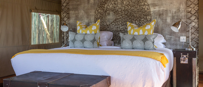 Zimbabwe   Hwange   National   Park   Deteema Springs   Bedroom Large   Pangolin Details Zimbabwe   Hwange   National   Park   Deteema Springs   Bedroom Large   Pangolin Details