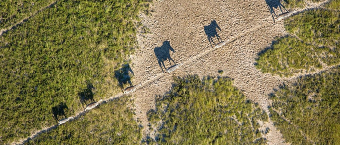 Machaba Safaris Okavango Delta Fly In Zebras