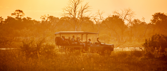 Botswana Okavango Delta Machaba Camp August Sightings 2021 Dusk Botswana Okavango Delta Machaba Camp August Sightings 2021 Dusk
