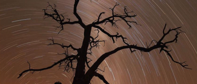 Gomoti Plains Wildlife Sightings Night Gomoti Plains Wildlife Sightings Night