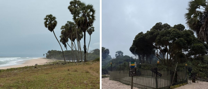 Sette Camp Field Notes Layout 2