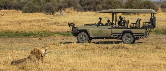 Botswana Machaba Camp Lion Game Drive Botswana Machaba Camp Lion Game Drive