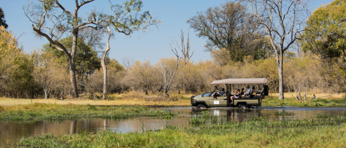 Botswana Okavango Delta Machaba Camp Wildlife Stories Feb 2022 Machaba Camp Game Drive Botswana Okavango Delta Machaba Camp Wildlife Stories Feb 2022 Machaba Camp Game Drive