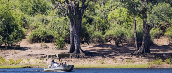 Machaba Chobe National Park Safari River Boat Cruise Machaba Chobe National Park Safari River Boat Cruise
