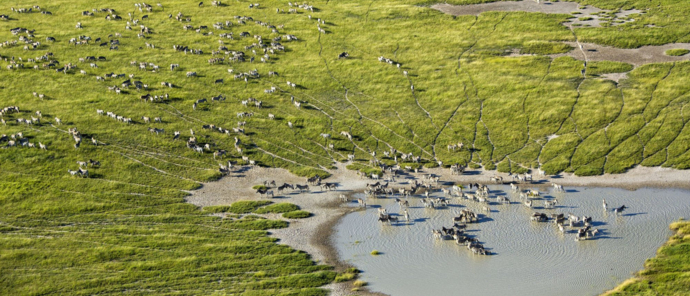Machaba Safaris Okavango Delta Fly In Views From The Airplane