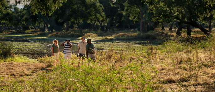 Zimbabwe Mana River Camp Safari Zimbabwe Mana River Camp Safari