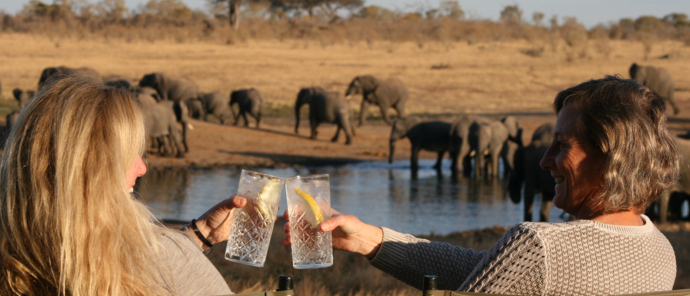 Machaba Safaris Zimbabwe Verneys Camp Wildlife Stories July 2022 Sundowners Machaba Safaris Zimbabwe Verneys Camp Wildlife Stories July 2022 Sundowners