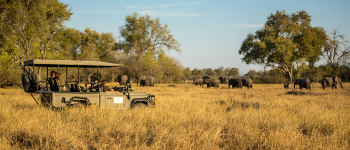 Botswana Machaba Camp Sightings September 2021 Game Drive Botswana Machaba Camp Sightings September 2021 Game Drive