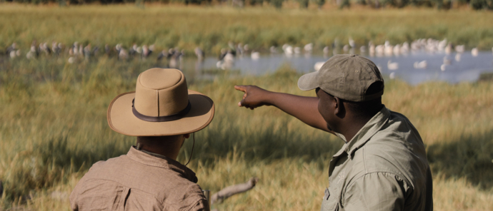 Bird watching with a Machaba guide in teh Okavango Delta