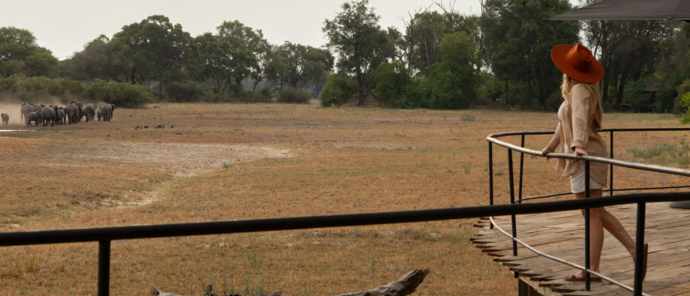 Machaba Safaris Okavango Delta Fly In Watching The Elephants