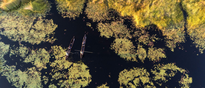 A mokoro moves through the Okavango Delta