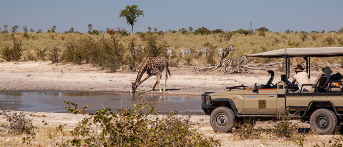 Machaba Botswana Welcome Back Home 01 Machaba Botswana Welcome Back Home 01