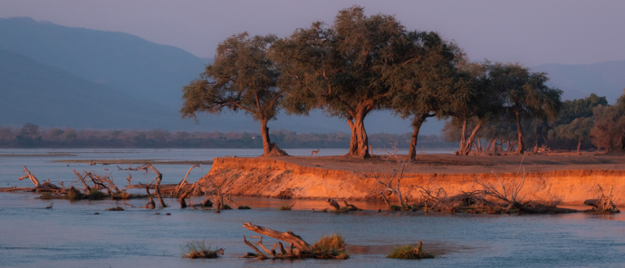 Machaba Zimbabwe Mana Pools Ingwe Pan Landscape Impala Machaba Zimbabwe Mana Pools Ingwe Pan Landscape Impala