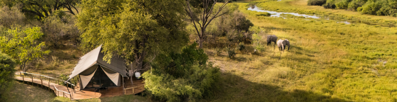 Machaba Web Botswana Little Machaba Wildlife Viewing From Tent Aerial Machaba Web Botswana Little Machaba Wildlife Viewing From Tent Aerial