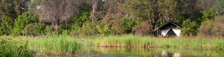 Machaba Botswana Okavango Delta Machaba Camp Gallery Rooms River Room View Machaba Botswana Okavango Delta Machaba Camp Gallery Rooms River Room View