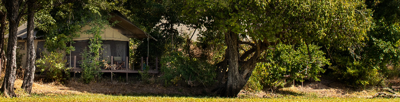 Machaba Web Zimbabwe Ingwe Pan Room Location Machaba Web Zimbabwe Ingwe Pan Room Location