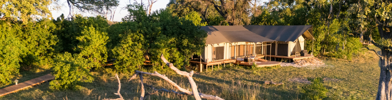 Machaba Web Monachira Camp Family Rooms Gallery Overview Machaba Web Monachira Camp Family Rooms Gallery Overview