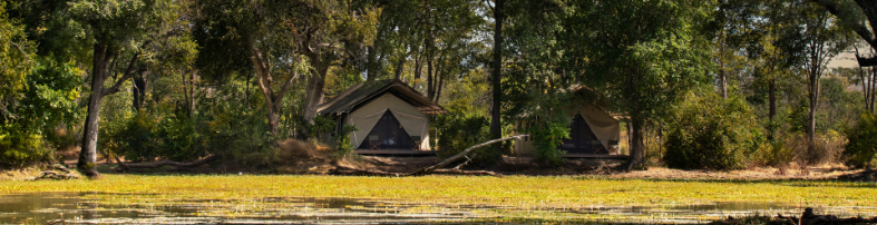 Machaba Zimbabwe Ingwe Camp Zambezi River In Front Tents