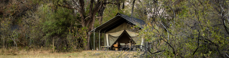 Machaba Safaris Web Botswana Machaba Camp Rooms Gallery Exterior Bush