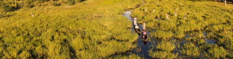 Machaba Botswana Okavango Delta Little Machaba Gallery Experiences Mokoro
