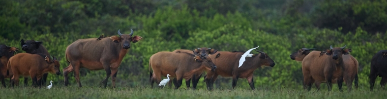 Experiences Carousel Image 1