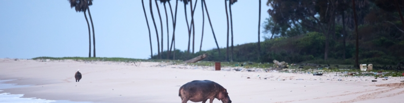 Experiences Carousel Image 3