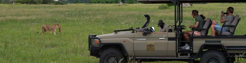 Machaba Safaris Web Kiri Camp Gallery Activities Game Drive Lions