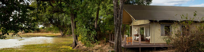 Machaba Zimbabwe Ingwe Room Tent On River Bank