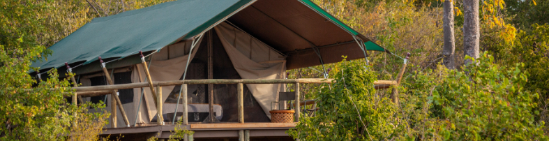 Machaba Zimbabwe Deteema Room Tent Elevateed In Canopy