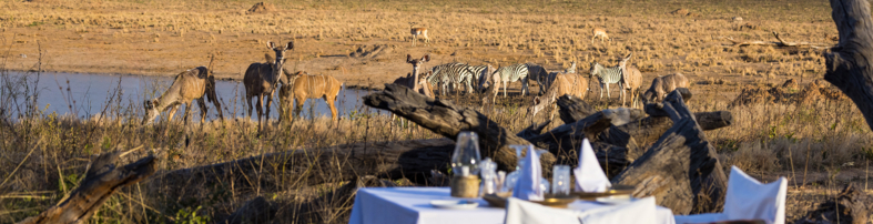 Machaba Zimbabwe Verneys Camp Deck Dining Machaba Zimbabwe Verneys Camp Deck Dining
