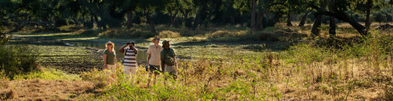 Machaba Zimbabwe Ingwe Experiences Guided Walking Safari