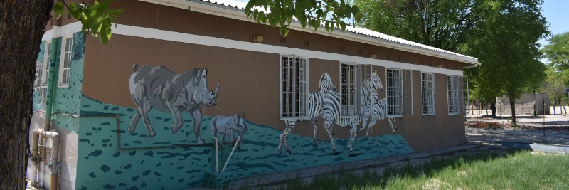 Machaba Safaris Web Education Projects