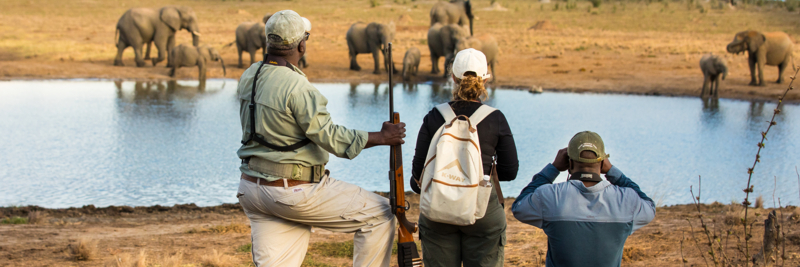 Machaba Zimbabwe Verneys Walking Safari Elephants Machaba Zimbabwe Verneys Walking Safari Elephants
