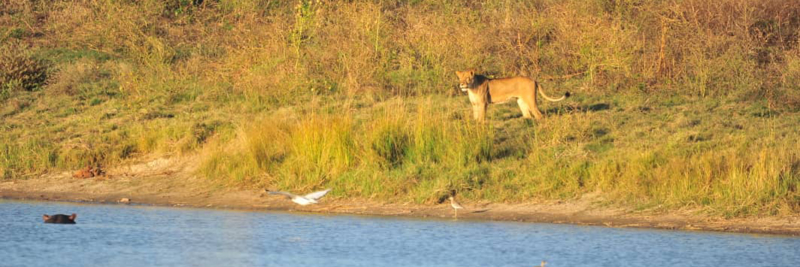 Machaba Zimbabwe Hwange Destination Deteema Machaba Zimbabwe Hwange Destination Deteema