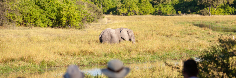 Machaba Machaba Accommodation Lodge Mvr 010