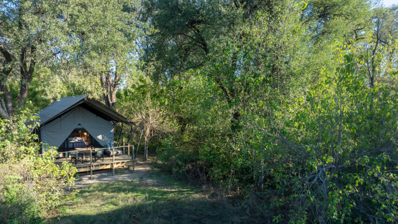 Machaba Safaris Machaba Camp Tent Exterior