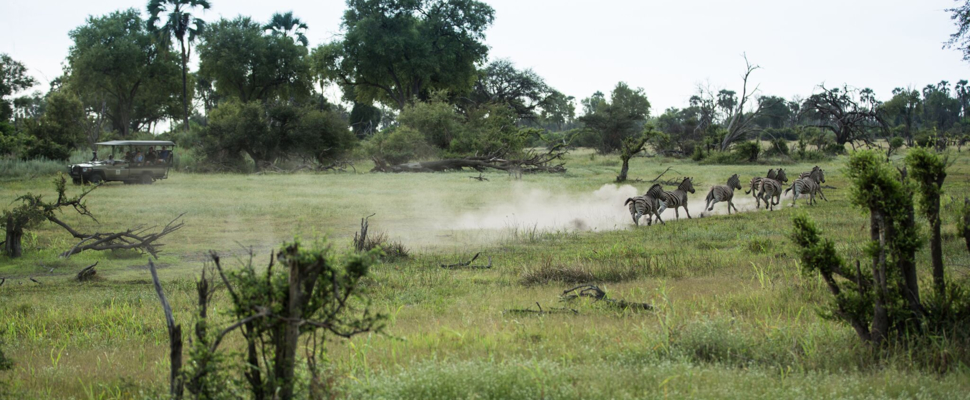 Machaba Botswana Super Stay Special Cta