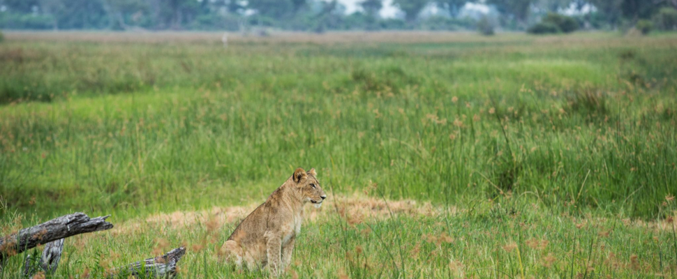 Machaba Deteema Accommodation Lodge Mvr 045