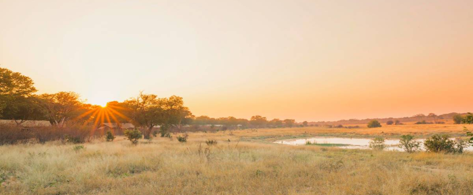 Local Zimbabwe Resident Special Cta Strip Local Zimbabwe Resident Special Cta Strip