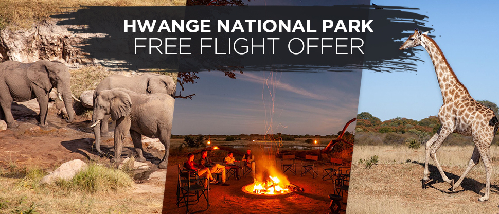 Machaba Zimbabwe Safaris Hwange Flight Offer 2022 Banner 2 Machaba Zimbabwe Safaris Hwange Flight Offer 2022 Banner 2