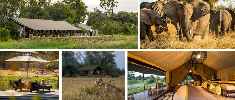 Botswana Resident Rate Special Gallery Botswana Resident Rate Special Gallery