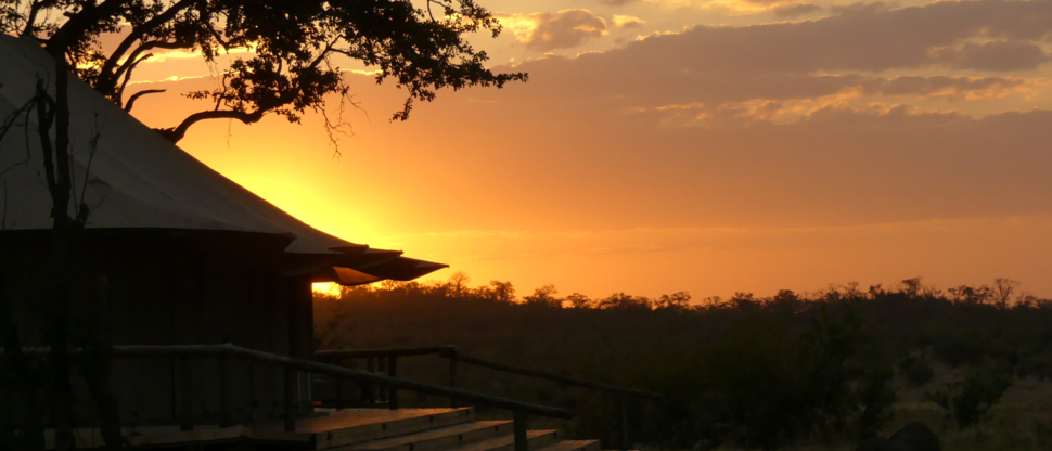 Machaba Zimbabwe Hwange Deteema June Sightings 2020 Body Image Machaba Zimbabwe Hwange Deteema June Sightings 2020 Body Image