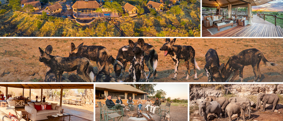 local-zimbabwe-resident-special-gallery.jpg Local Zimbabwe Resident Special Gallery