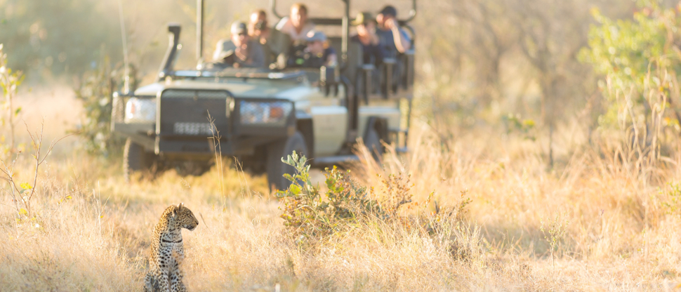 Botswana Okavango Delta Machaba Camp October Sighting 2020 Leopard Botswana Okavango Delta Machaba Camp October Sighting 2020 Leopard