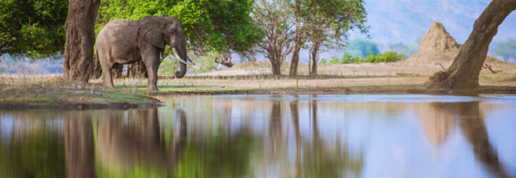 Machaba Destination Zimbabwe Mana Pools Park Gallery 05